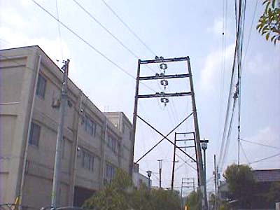 木の門が続く・・・