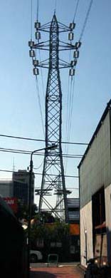 �p�������ꂽ�S��