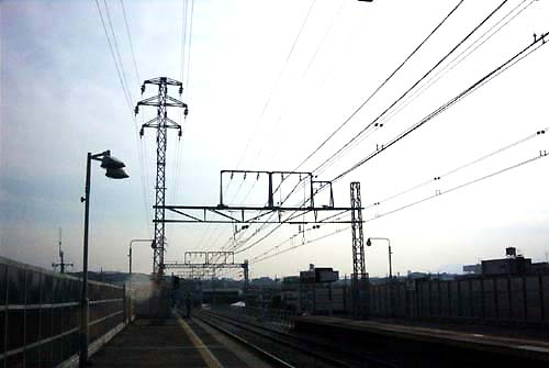 �ː����̈ꕔ�Ɖ����Ă���