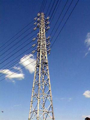 四角いジャングル