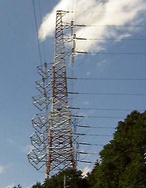 �S�W�����ǂ�