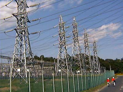 �J��̃^�P�m�R