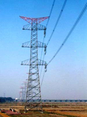 Wink!�̂��Ƃ�