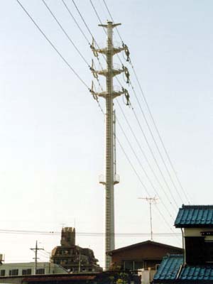 �C���~�̑S�g