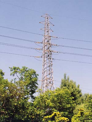 �X�q�̂悤��