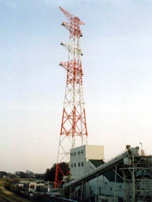 すっくと立つ姿