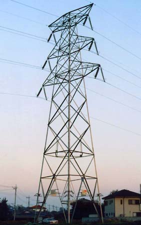 �V�q�̕�����������