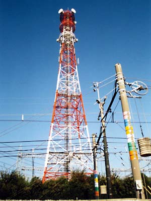 変電所なのに腕金を持たぬ鉄塔