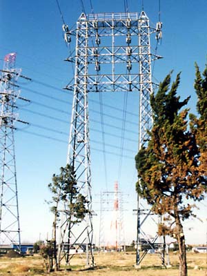 ��̒��̖�@���̂Q