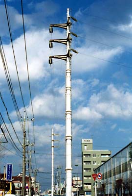 �H��̃}�X�g�@��S���ː��|�P�O