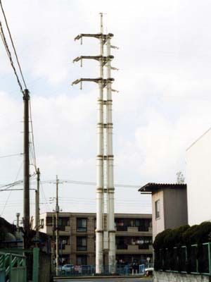 実は2本です