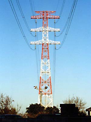 �_�C�G�b�g�S���@�����k���|�R�O�S�Q