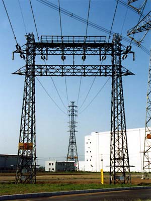 �������؂�Ă�H