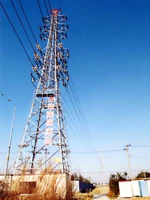 �����ł͉��ɂ��Ă���