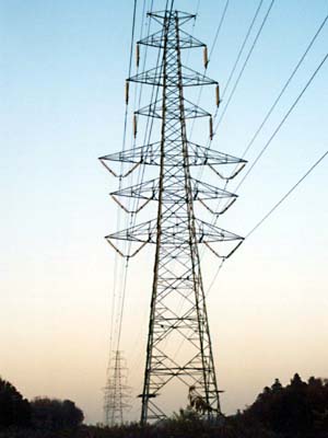 ���Ɏ�����Ăā@�������|�P�W