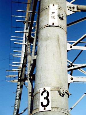 �������v���[�g�Ɖ���ԍ�