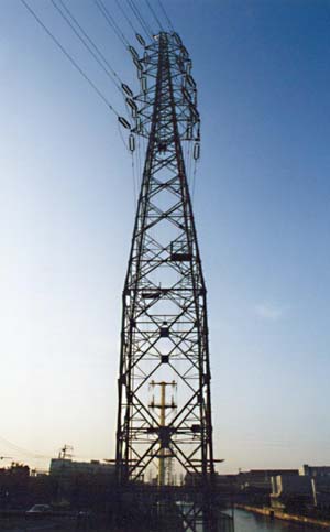 �}���l�[�Y�{�g���S���@���t�`���|�V