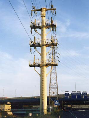 ��яo�����}���l�[�Y�S��