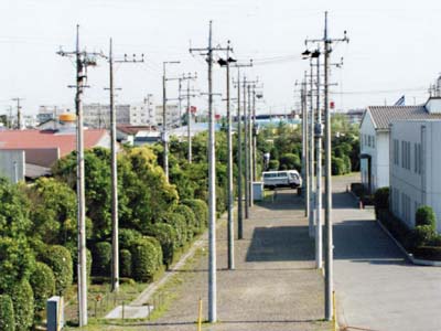 電柱でござる