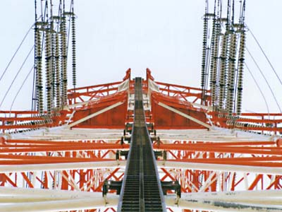 �I�̌��@��t�������|�P�R