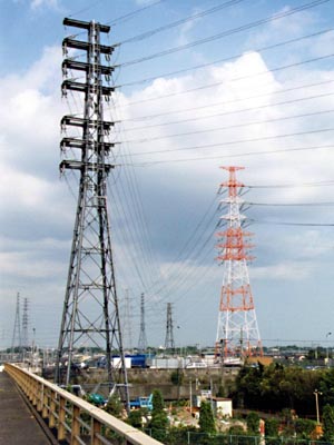 ���R�m�̌n��