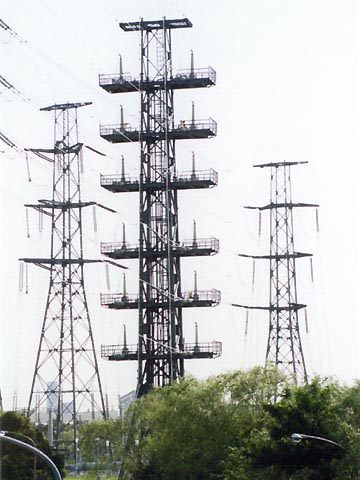 ���R�m�@�M����