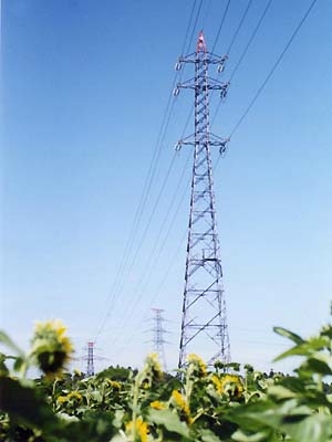 �����������グ�铃�@�x�ː��|�Q