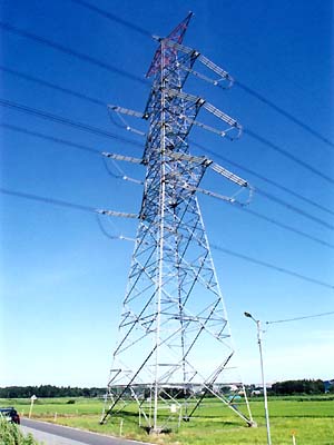 �V���t���|�P�P�O�@���̑����ɂ́E�E�E