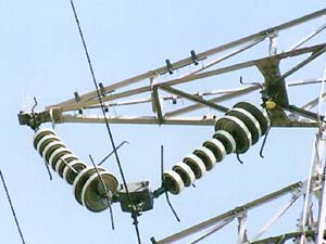 �����̊V�q