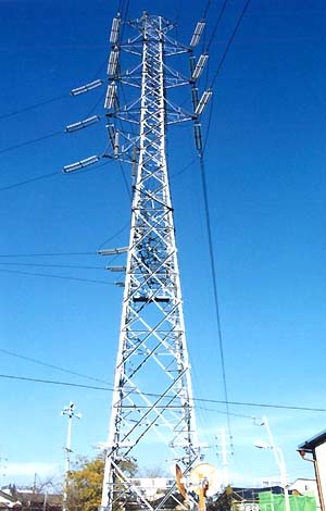 �}�C�i�X�E�[���@��������|�P�O�O