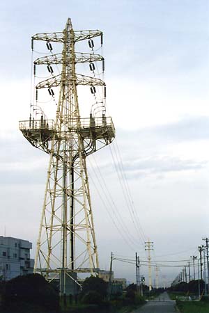 �����I���̓S��