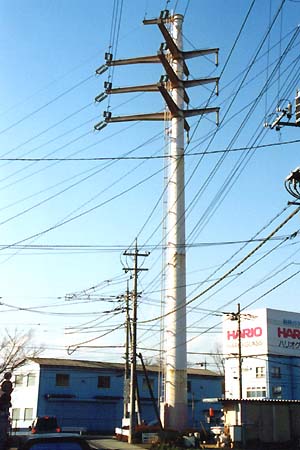 �s���H�̏\���@�ēc�n���I���|�T