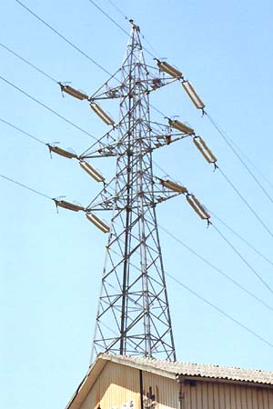 �؂�Ă���S���@�T�ː��|�T�O