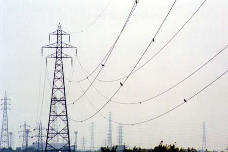 生きているダンパー