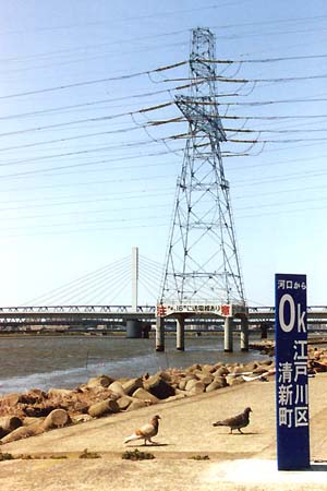 �͌�����O�����̓S���@�]�����|�W�X