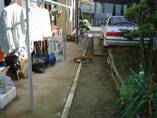 ���c���񂿂̒�ŁA���܂����Ă�B