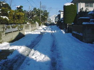 ���\�ς����Ă�ł���I