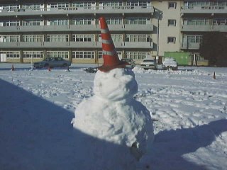 ���̐Ⴞ��܁A�w�Z�̒��֏�̋߂��ɂ������񂾂�B