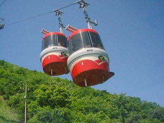 �c�C�����͑��ɂ͗Ⴊ�Ȃ��炵���B