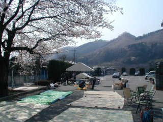 花見準備中