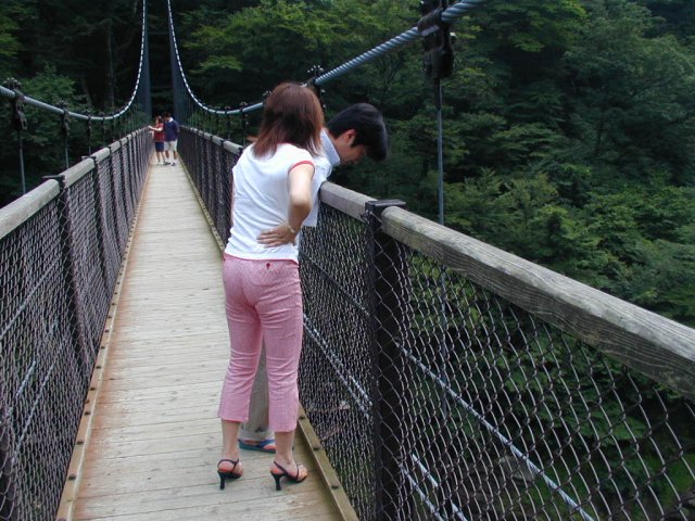 ���͌��\�����P�c�B