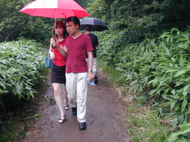 �������ނ����Ă����B