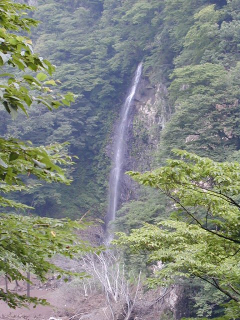 高度はあるけど、ちょっと細いよね。