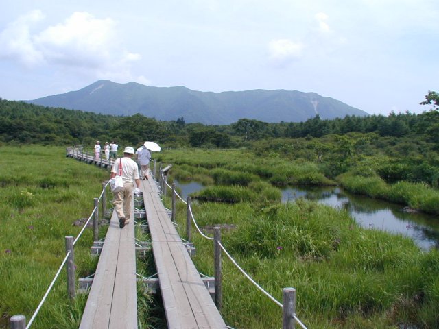 規模的には尾瀬よりだいぶ小さい。