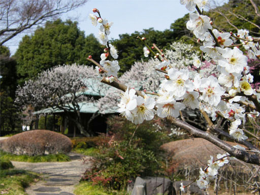 �z�K�̒���