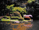 新江戸川公園