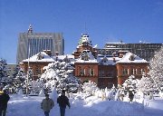 赤レンガの道庁