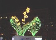 XỸIuWF
