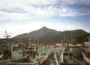 鴛泊港から利尻山