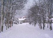 雪の道を歩く